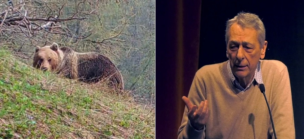 Da Fugatti troppe fregnacce'', il padre della 'conservazione' in Italia dei grandi carnivori a il Dolomiti