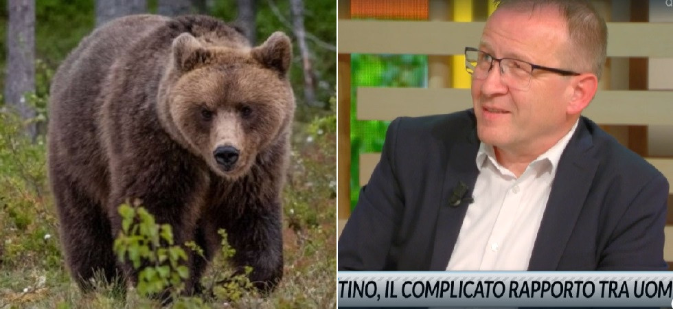 Lupi e orsi? Sono diventati padroni del territorio, Cia e le tante imprecisioni su Rai3: Evitare il bosco?
