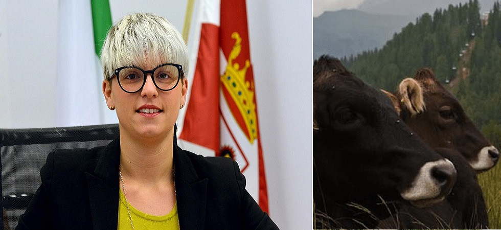Benessere animale, contributi alle aziende zootecniche per la certificazione: ecco come presentare la domanda