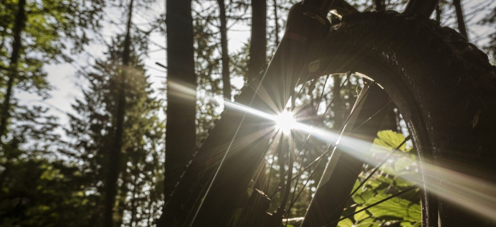 Accusa un malore in sella alla sua mountain bike: ciclista muore lungo un sentiero