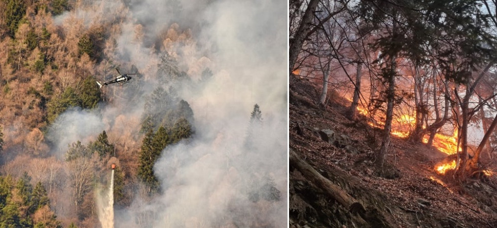 Fuochi del Sacro Cuore, massima allerta per gli incendi boschivi: attenzione agli alberi infestati dal bostrico