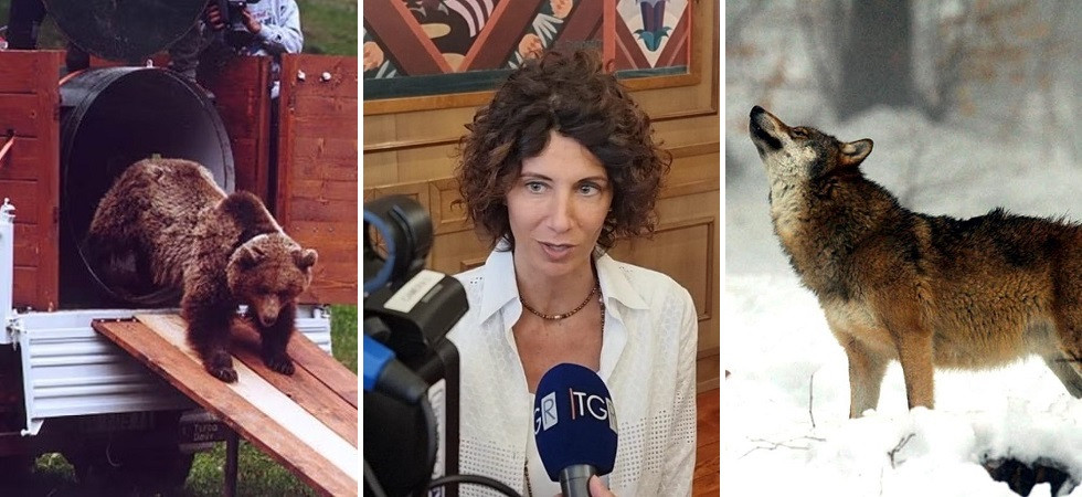 Orsi e lupi, spaccatura Lega-Fdi