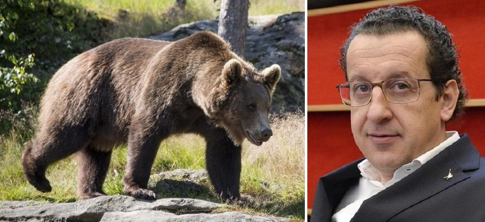 “Gli orsi limitano la libertà dei trentini”, Job invita gli animalisti a un incontro nei boschi della “sua” Val di Sole