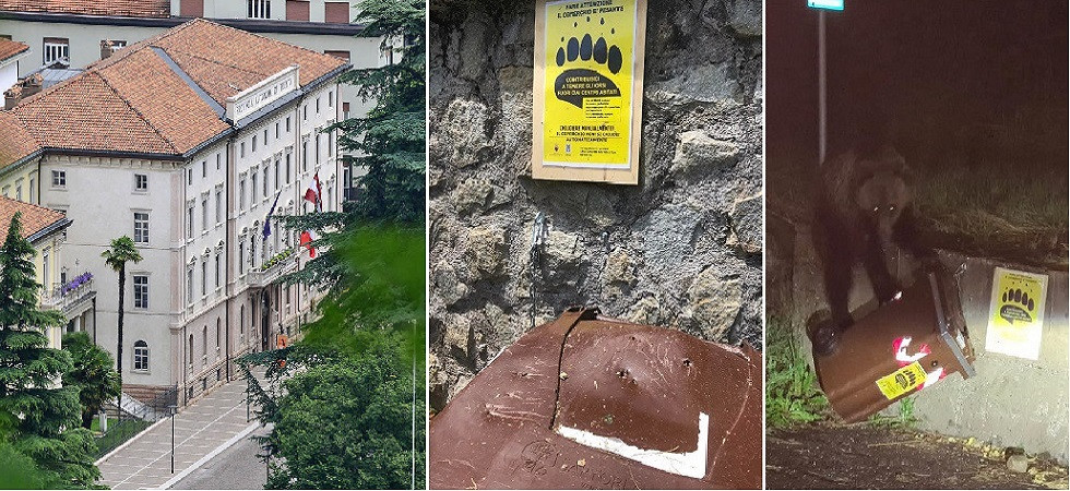 Bidoni anti orso, l'Ispra a il Dolomiti: Già nel 2000 sottolineata la loro importanza