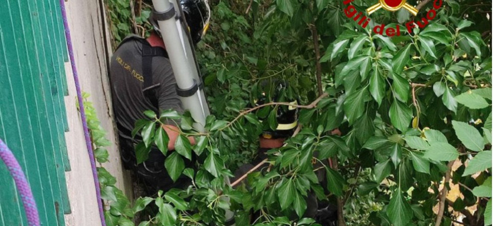 Il pinscher scappa e cade in una scarpata impervia, Chicco salvato dai vigili del fuoco e riconsegnato al proprietario