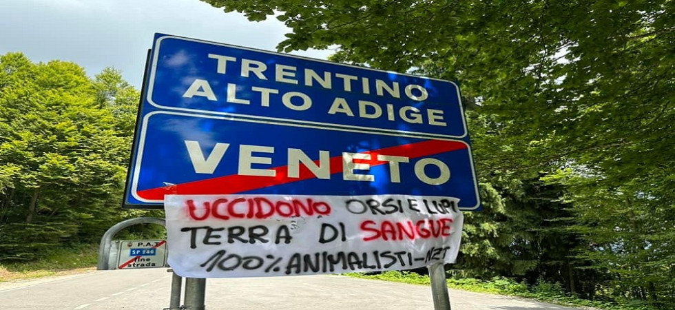 "Uccidono orsi e lupi, terra di sangue", striscione di Centopercentoanimalisti al confine tra Trentino e Veneto