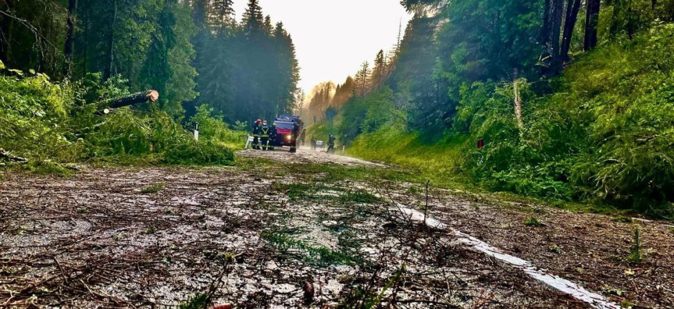 Maltempo, nuova allerta dalla Protezione civile per forti raffiche di vento, piogge intense e grandine