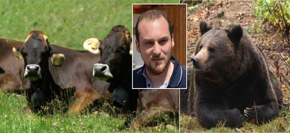 Orsi, politica in stallo e chi vive la montagna ne paga le conseguenze