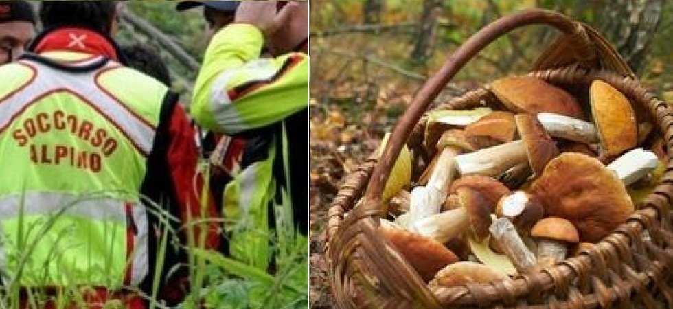 Va a funghi ma ruzzola lungo il pendio per oltre 30 metri