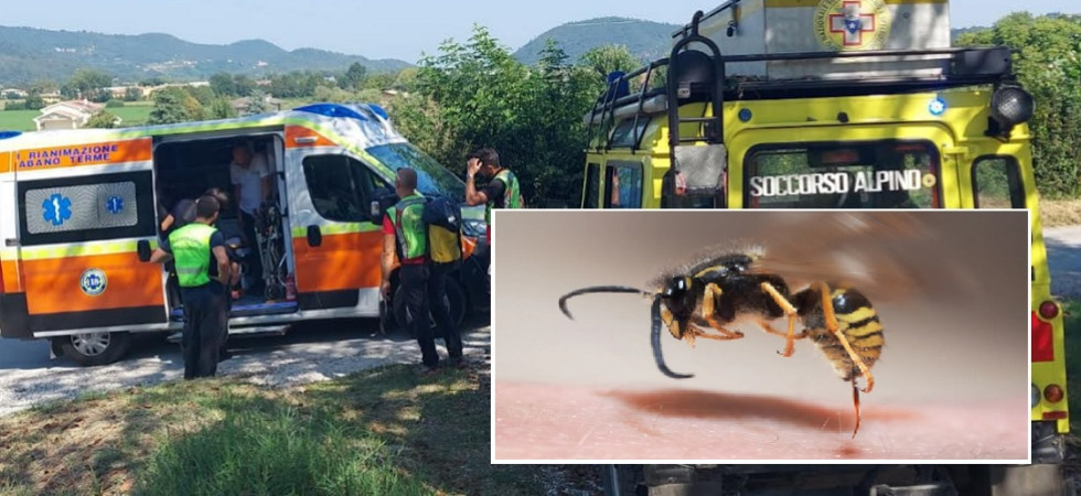 Punto da una vespa si sente male, momenti di paura per un 29enne: trasportato in ospedale