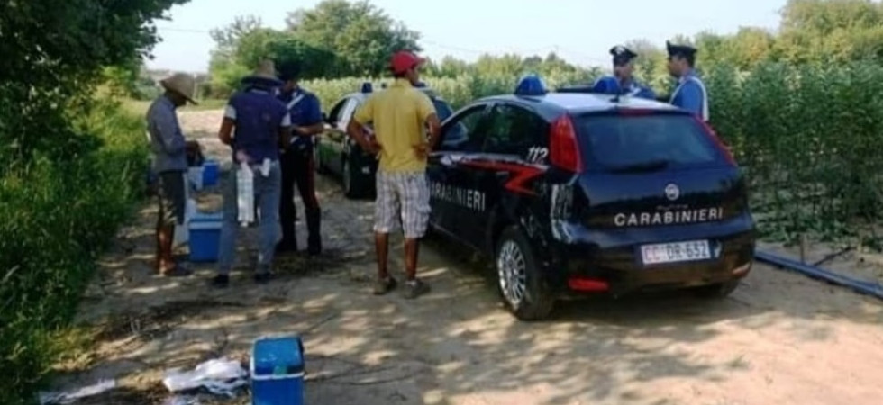 Lavoro irregolare, poca sicurezza e attrezzatura inadeguata, i carabinieri bloccano l'attività di un'azienda agricola