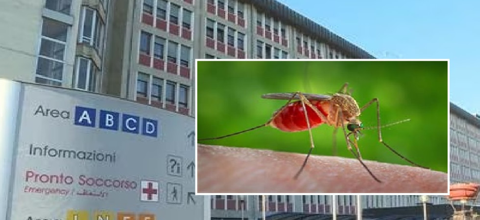 Primo caso di West Nile nel vicentino, contagiato un 70enne