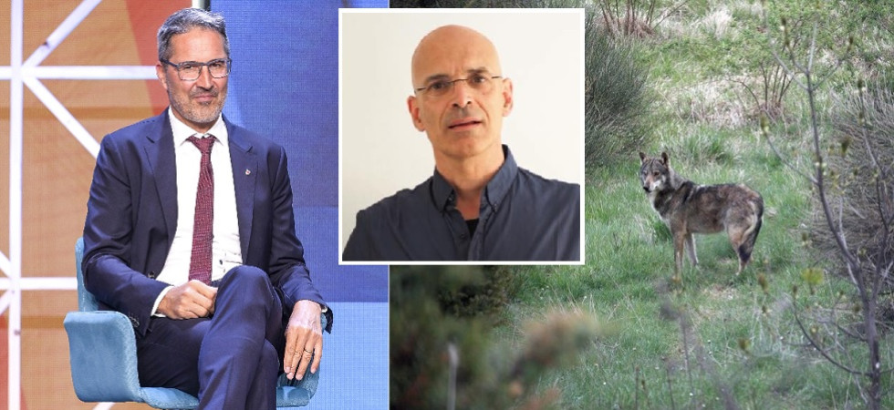 Abbattimento lupi, Fattor su Kompatscher: Perché pagare pareri esterni?