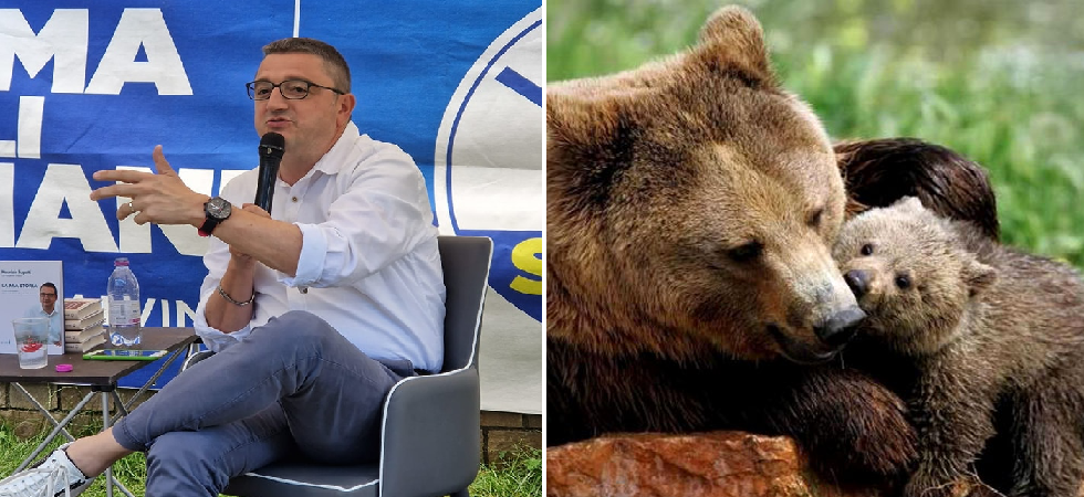F36, la Lav: L'orsa è stata condannata a morte da Fugatti