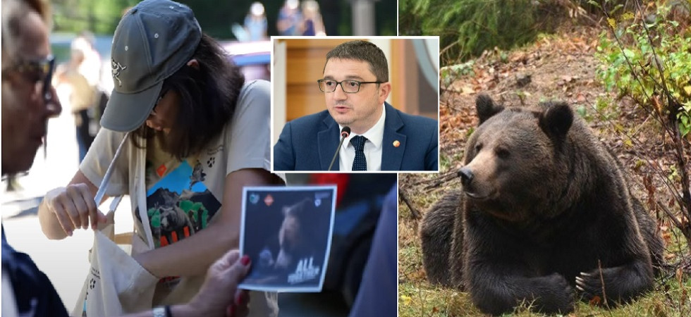 Convivenza con gli orsi in Trentino, la Lav contro Fugatti: “Ha soffiato sul fuoco creando una frattura sociale e facendo