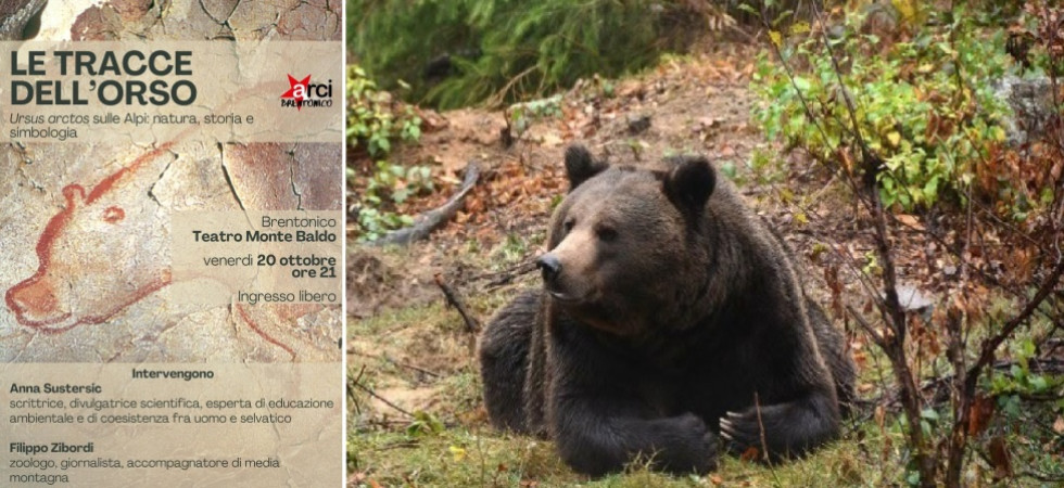 Informazioni e riflessioni sui grandi carnivori, Anna Susteric e Filippo Zibordi a Brentonico per "Sulle tracce dell'orso"