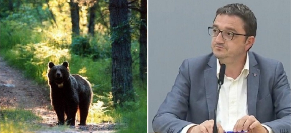 Quando il trasferimento di Jj4?