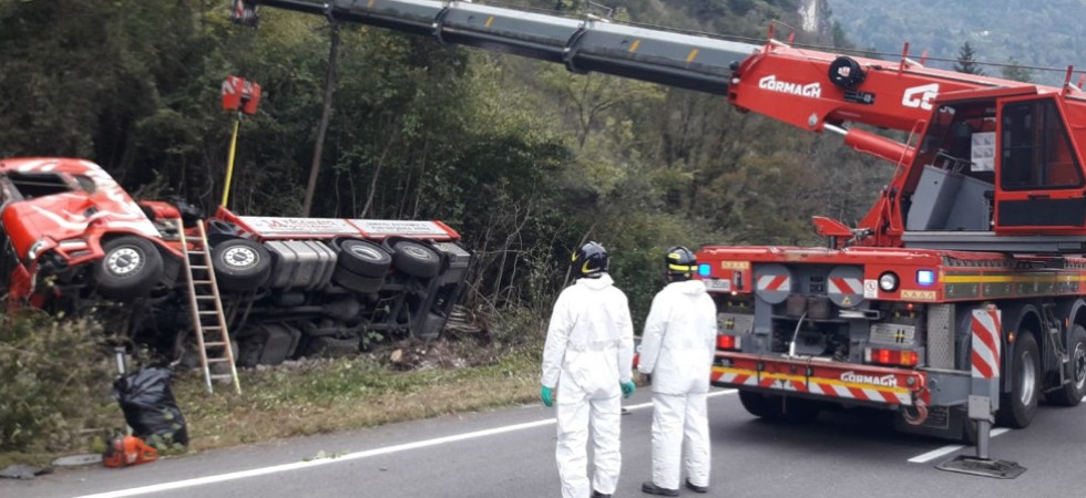 Tragedia della strada, camion travolge un cervo che finisce nella cabina di guida: la vittima è il 35enne Manuel Favaro