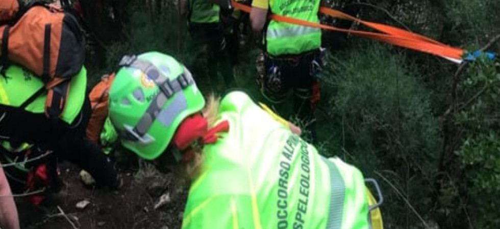 Nel bosco con il marito per cercare funghi ma si dividono e lei scompare