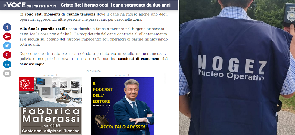 Per La Voce il cane ha morso gli operatori'' e la proprietaria si è seduta sul cofano minacciando tutti''