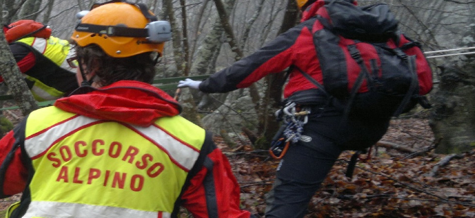 Dramma nel bosco, il cane torna in paese da solo e i cittadini lanciano l'allarme: una donna è stata trovata senza vita
