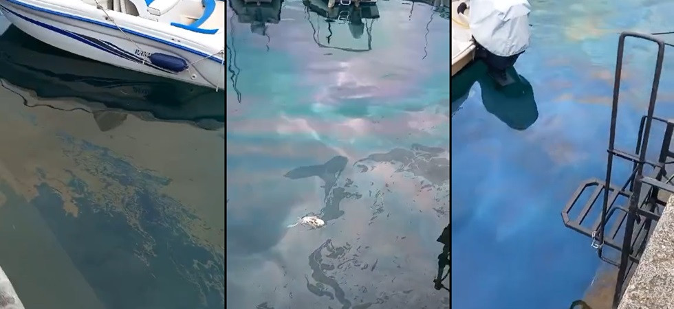 Sul Garda una chiazza enorme di gasolio, è allarme: sul posto in azione i vigili del fuoco