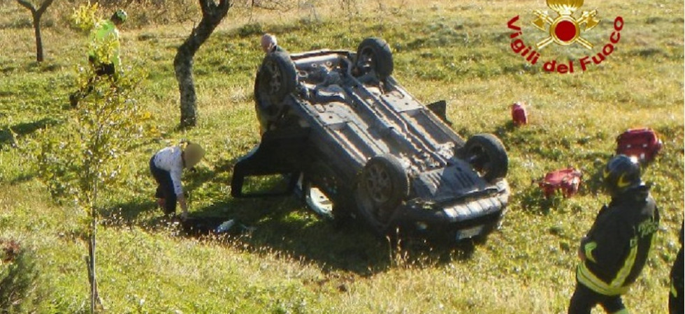 Perde il controllo dell'auto per evitare un cervo