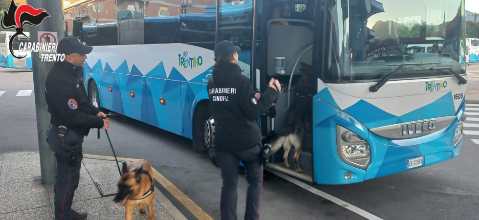 Spinelli, hashish e cocaina, controlli dei carabinieri vicino alle scuole: 5 studenti nei guai