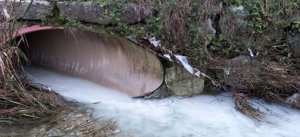 Scarichi bianchi nel torrente Salon, il Wwf: "Presto finiranno nel Garda: situazione inaccettabile"