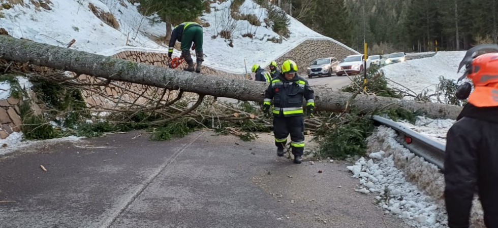 Forti raffiche di vento, diversi alberi caduti in strada: l'intervento di vigili del fuoco