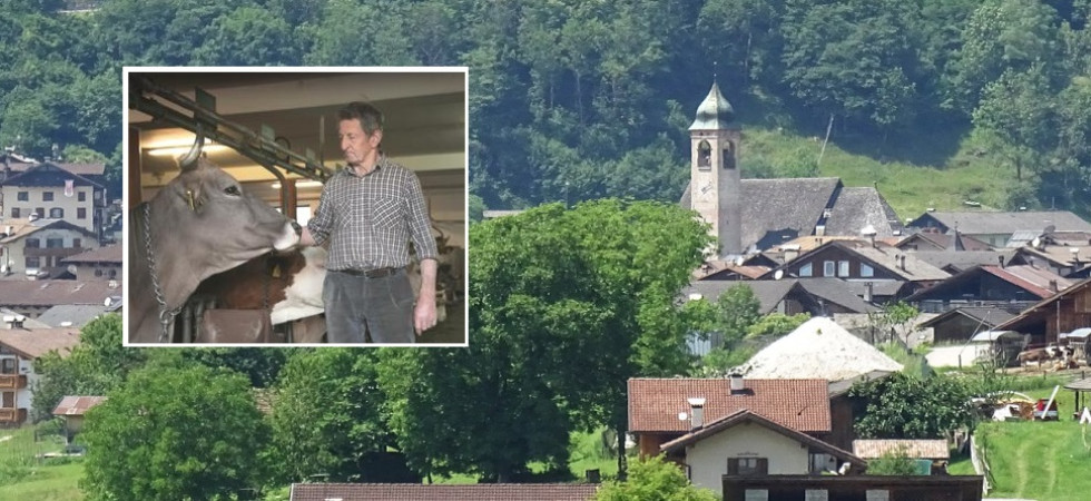 Drammatica caduta in stalla, è morto a 78 anni l'ex sindaco di Siror Antonio Taufer