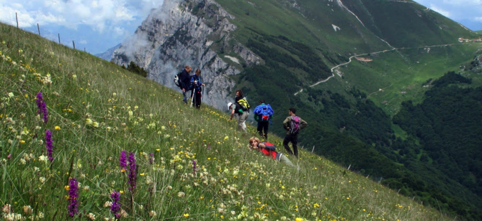 La Fondazione Museo Civico di Rovereto cerca un botanico 'under-35'