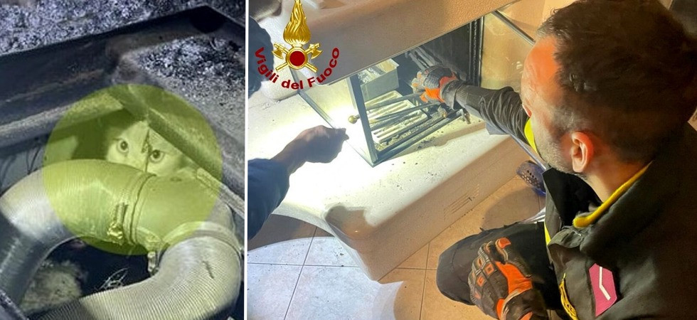 Foto vigili del fuoco Gattino si infila nelle tubazioni del caminetto e rimane intrappolato: intervengono i vigili del fuoco