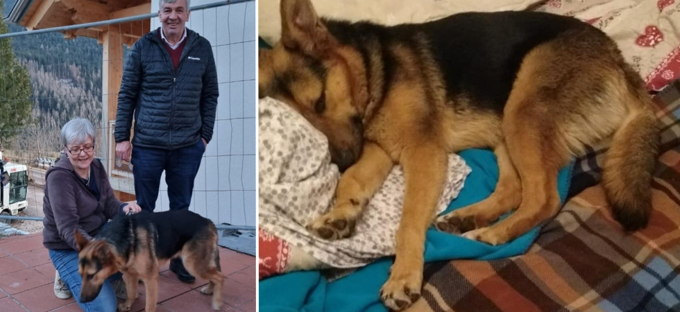 Sfruttata per chiedere l'elemosina in strada, ora Lea "fa la vita che merita"
