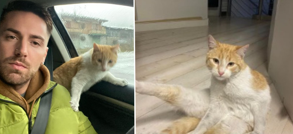 "Ho aperto la portiera della macchina e mi è saltato in braccio"