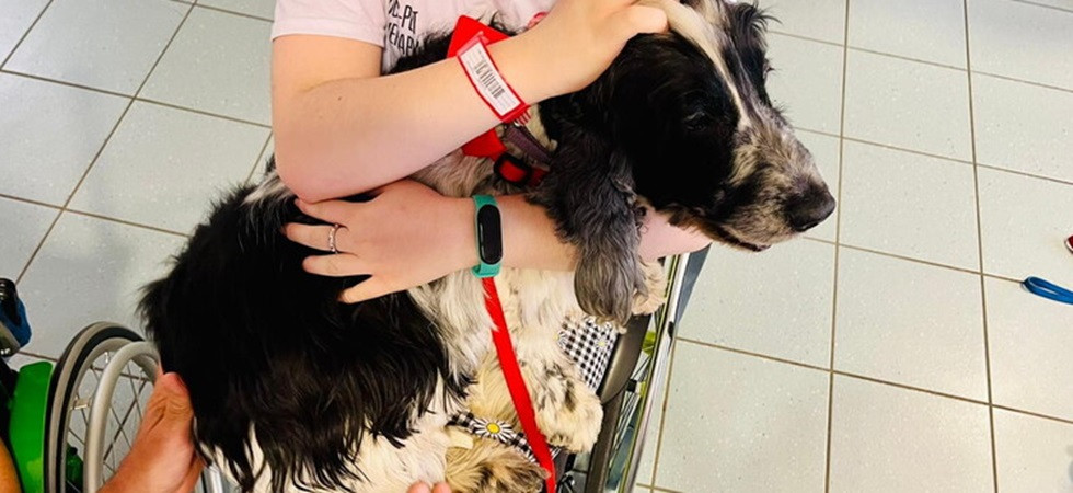 A pediatria i piccoli pazienti potranno ricevere la visita del proprio cane: "Perché il legame nato non venga mai interrotto"