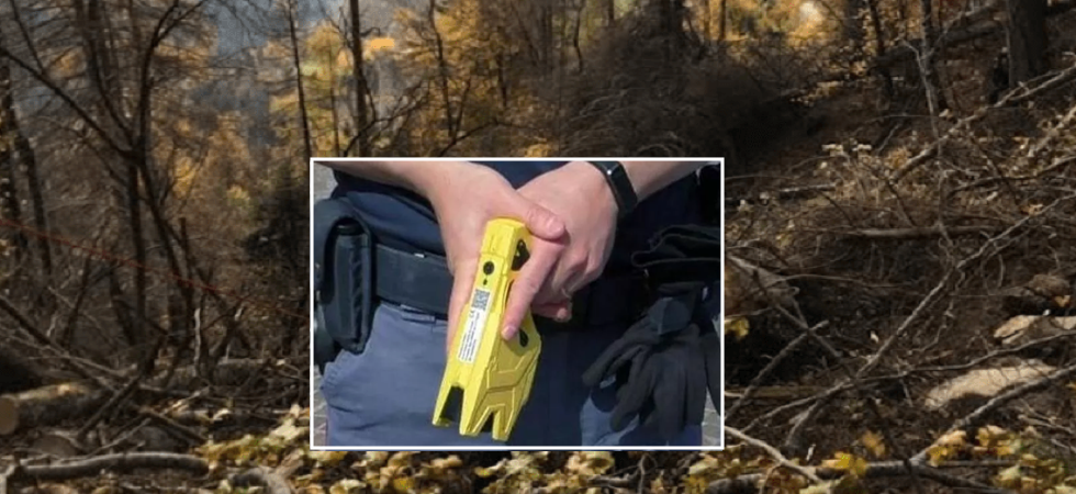 Rovistano fra foglie e sassi nel bosco ma vengono 'notati' dagli agenti in borghese