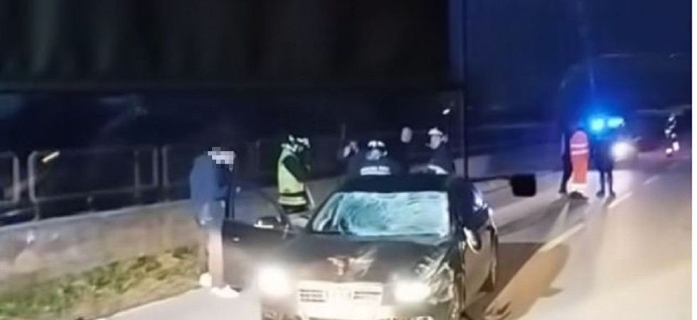 Una vacca spunta sulla strada e viene centrata da un'auto
