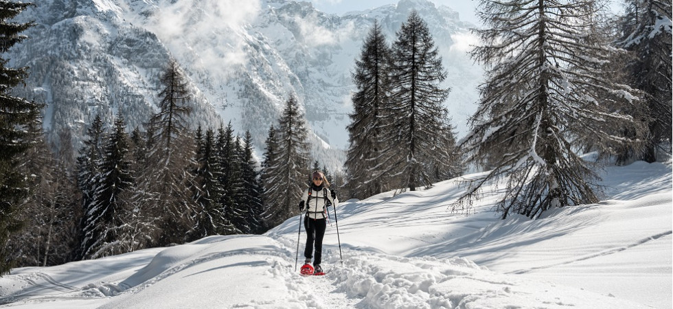 Ciaspole in val di Sole - foto di Elisa Fedrizzi Ciaspole in val di Sole - foto di Elisa Fedrizzi