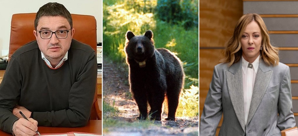 Abbattimento di M90, l'appello degli animalisti alla premier Meloni