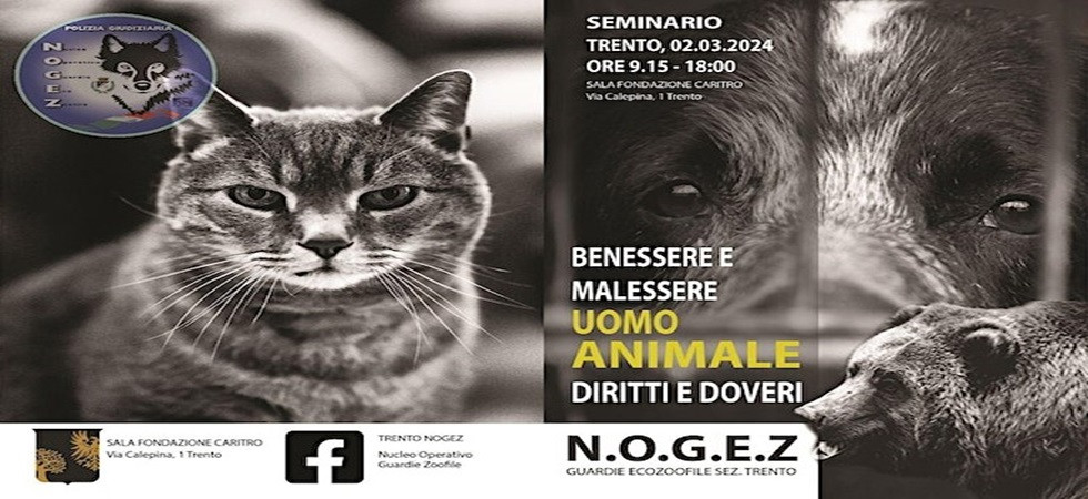 Rapporto tra violenza sugli animali e crimini sulle persone: il seminario a Trento per discuterne con professionisti ed