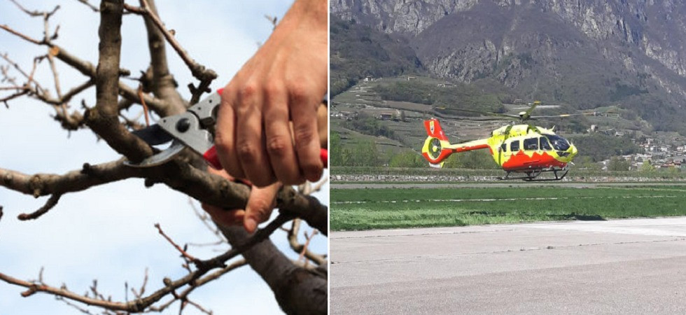 Cade dalla scala da tre metri d'altezza mentre sta lavorando nel proprio meleto: un uomo elitrasportato al Santa Chiara
