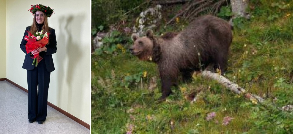 "Ho dedicato la mia tesi di laurea all'orso M49", dall'Uruguay al Trentino