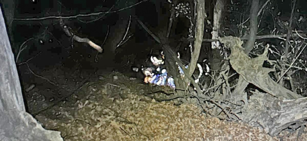 Cade in un dirupo per oltre 20 metri durante un'uscita nel bosco: donna di 70 anni recuperata dai vigili del fuoco
