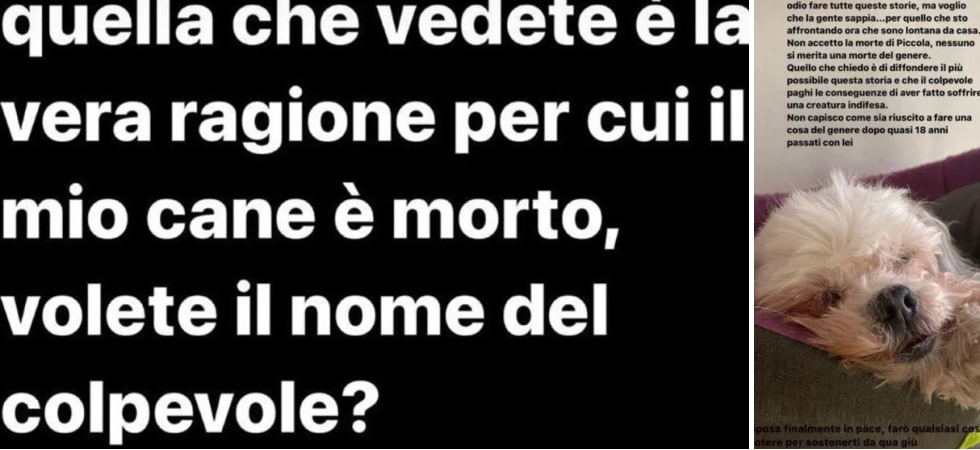 Volete il colpevole: eccolo