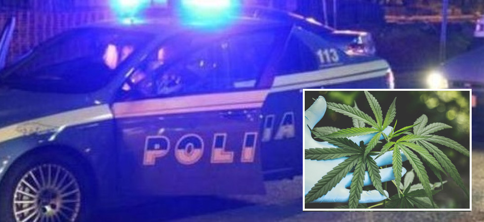 Si aggira con un furgone carico di patatine (ma non solo): ai controlli, fra gli scatoloni, spunta un quintale di marijuana
