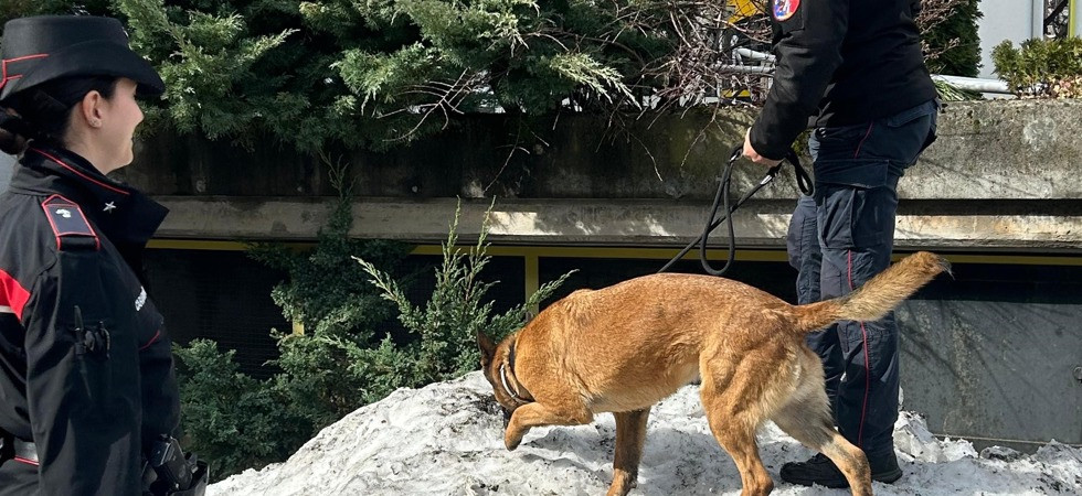 Controlli nelle scuole, i cani Heni e Kelly trovano hashish e marijuana negli zaini di due studenti: segnalati