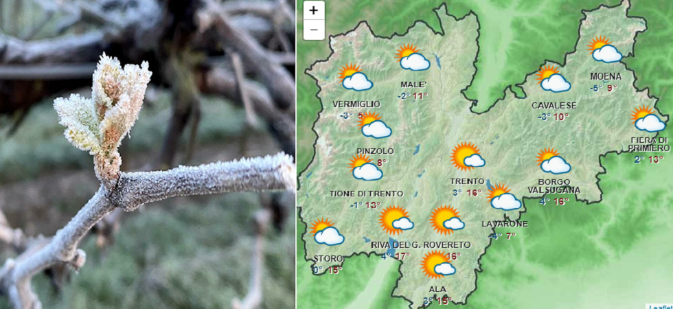 Cielo sereno e qualche gelata notturna (ecco dove), venerdì torna un po' di pioggia ma dal weekend migliora e si alzano le