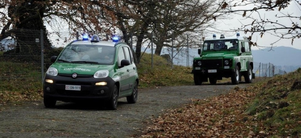 Abbattono 100 metri quadrati di pioppi e costruiscono una postazione per cacciare abusivamente in un'area vietata