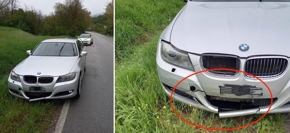 Cinghiale attraversa la strada e un'auto lo urta, momenti di paura: forze dell'ordine in azione per rintracciare l'animale